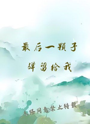 最后一颗子弹留给我 小说